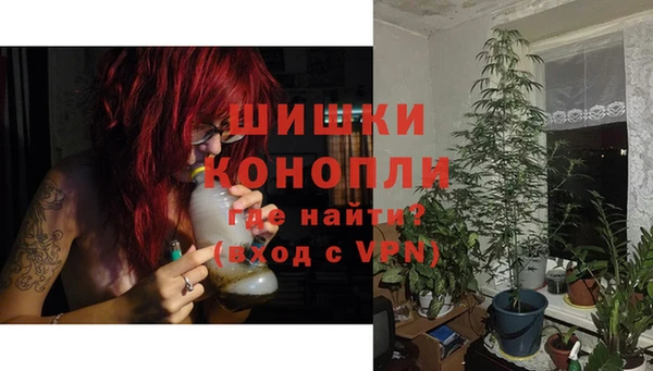 сатива Снежинск