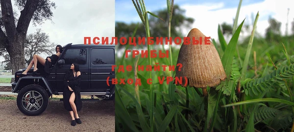 ALPHA PVP Дмитриев